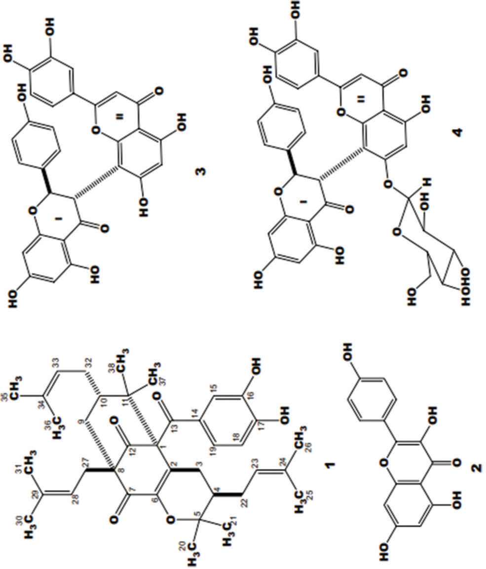 Chemical structures from MeOH extract of the fruits of Allanblackia gabonensis.