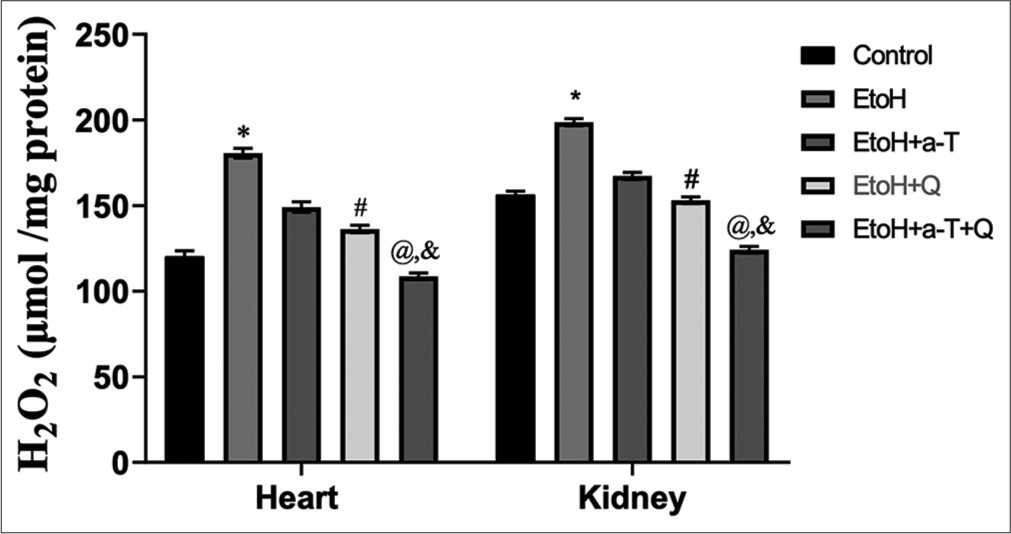 Hydrogen peroxide level in cardiac and renal tissues. Superscript (*) indicates significant (P < 0.05) increase compared with control; # indicates significant (P < 0.05) decrease compared with ethanol (EtoH); @ indicates significant (P < 0.05) decrease compared with EtoH+α-T; ‘&’ indicates significant (P < 0.05) decrease compared with EtoH+Q.