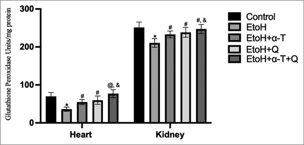 Glutathione peroxidase activity in cardiac and renal tissues of rats. Superscript “*” indicates significant (P < 0.01) decrease compared with control; Superscript “#” indicates significant (P < 0.05) increase compared with ethanol (EtOH); Superscript “@” indicates significant (P < 0.01) increase compared with EtOH Superscript “&” indicates significant (P < 0.05) increase compared with EtoH+Q.