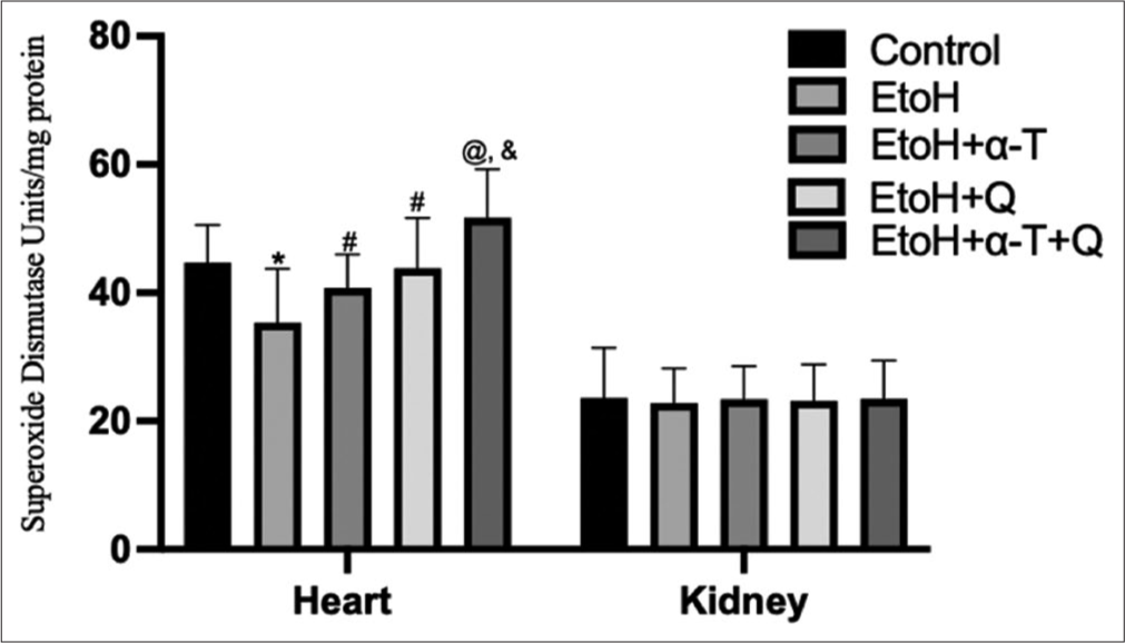 Superoxide dismutase activity in cardiac and renal tissues of rats. Superscript “*” indicates significant (P < 0.01) decrease compared with control; Superscript “#” indicates significant (P < 0.05) increase compared with ethanol (EtOH); Superscript “@” indicates significant (P < 0.01) increase compared with EtOH; Superscript “&” indicates significant (P < 0.05) increase compared with EtoH+Q.