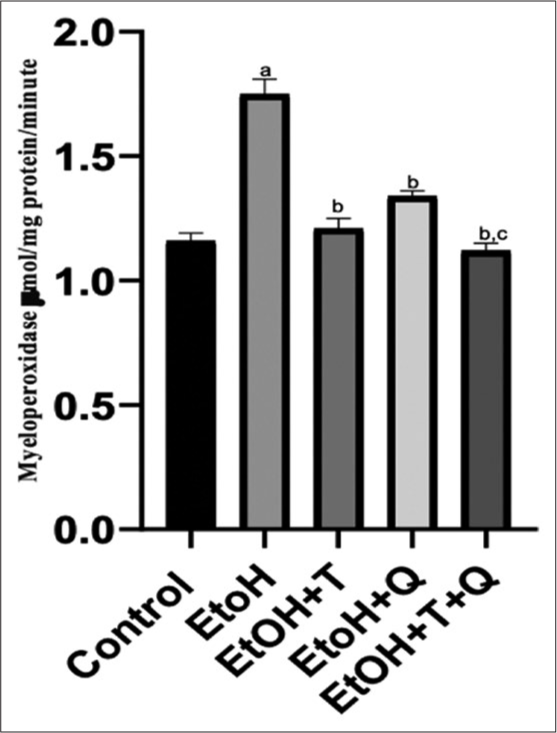 Alcohol-induced alteration of serum myeloperoxide and effect of antioxidants. Superscript a indicates significant (P < 0.05) increase compared with control; Superscript b indicates significant (P < 0.05) decrease compared with ethanol (EtoH); Superscript c; indicates significant decrease compared with EtOH+Q.