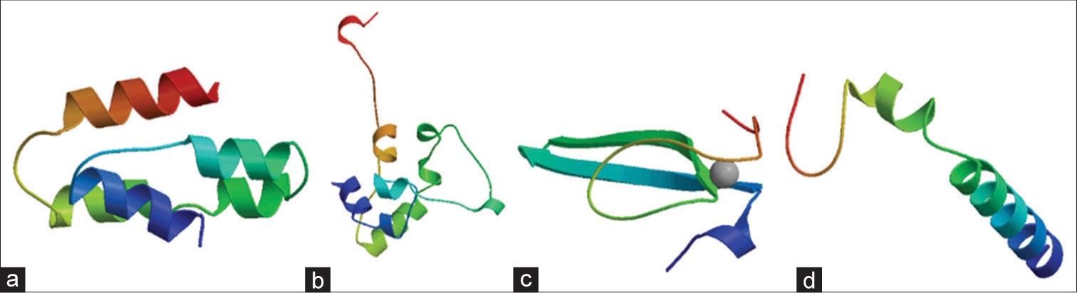 Displays three-dimensional modeled structures of (a) C, (b) L, (c) V, (d) W proteins of Langya Virus generated using Swiss Model. In this representation, α-helices, β-strands, and loops are distinctly colored in red, blue, and green, respectively.