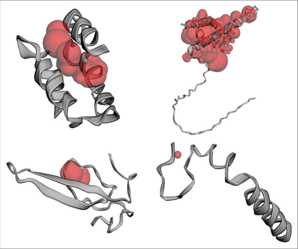 Active site prediction of the target proteins C, L, V, and W of the Langya virus using CASTp (Computed Atlas of Surface Topography of Proteins).