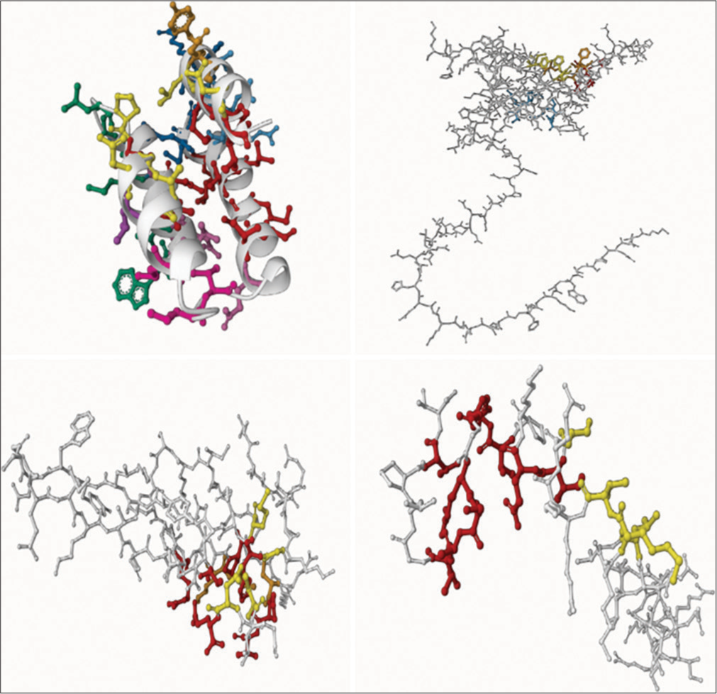 Predicted ligand binding sites for target proteins C, L, V, and W of Langya virus using PrankWeb.